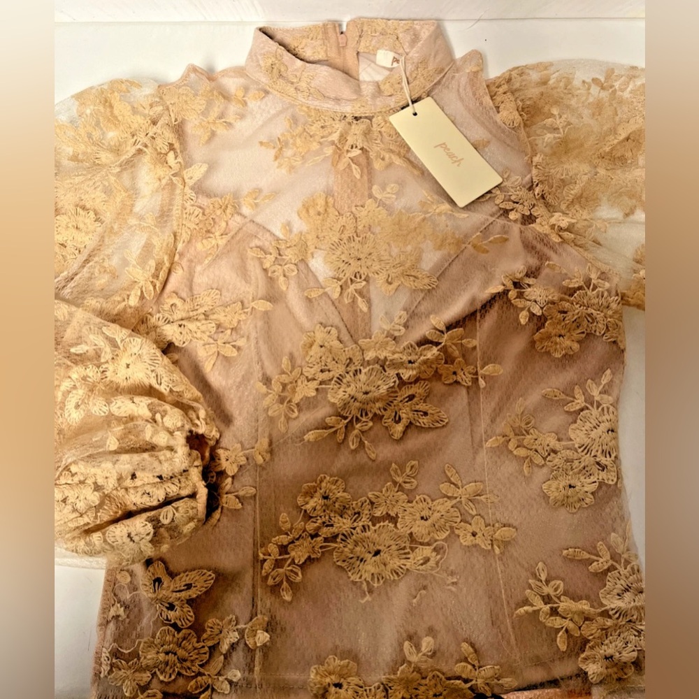 Peach Clothing Women's Puff Long Sleeve Mockneck Lace Lined Blouse